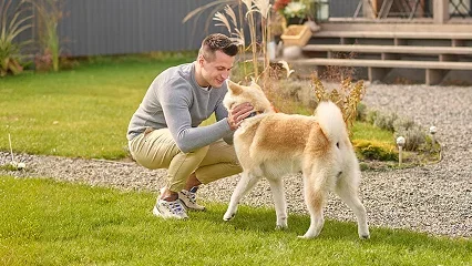 Home, Garden & Pets