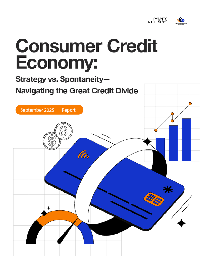 Credit Economy Report: Navigating the Great Credit Divide